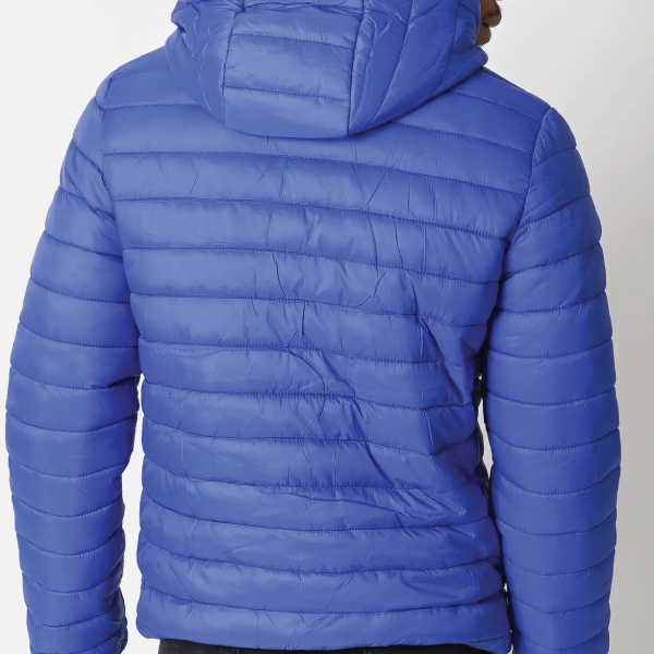 Zayne Paris Padded Jacket - Cobalt Blue